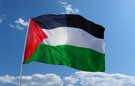 صور عن علم فلسطين